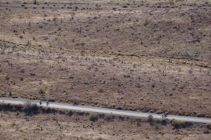 10959864_10153561665473219_8994409140924664033_o